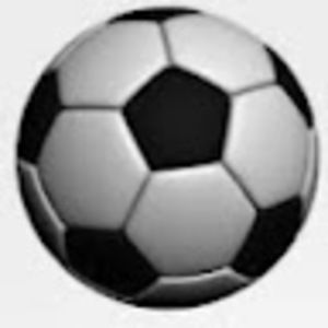 Meet your Posher, Leo